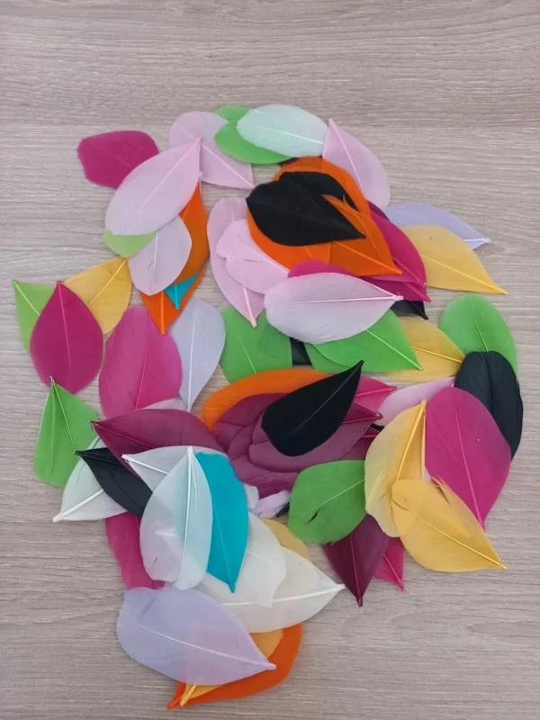 Lot De Plumes Multicolores